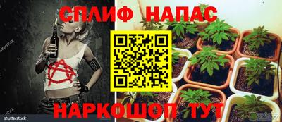 дистиллят марихуана Заводоуковск