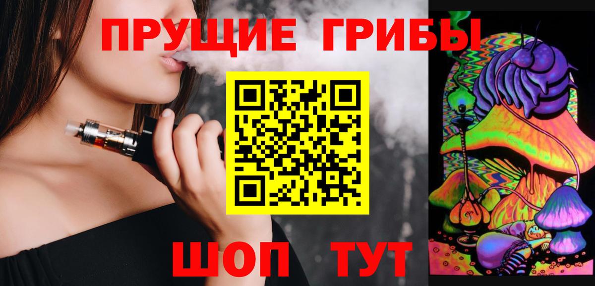 Заринск  Галлюциногенные грибы Psilocybine cubensis  Вход с VPN 