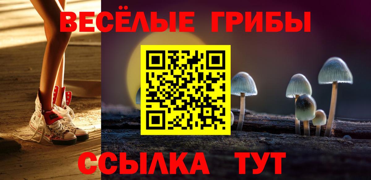 Псилоцибиновые грибы ЛСД Заринск